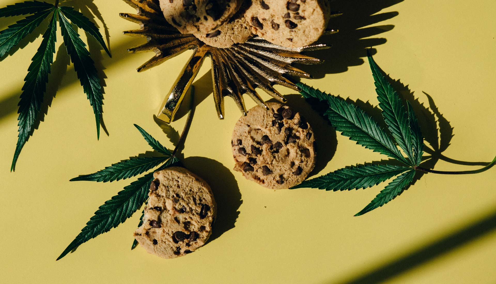 Cookies and Leaves